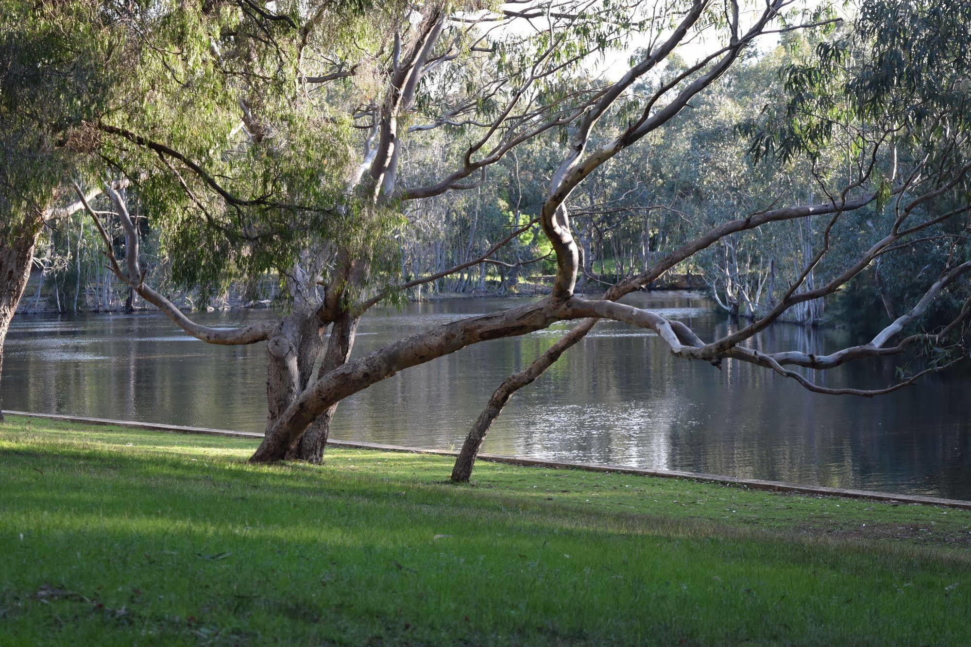Bushy Lake Chalets Margaret River Zewnętrze zdjęcie